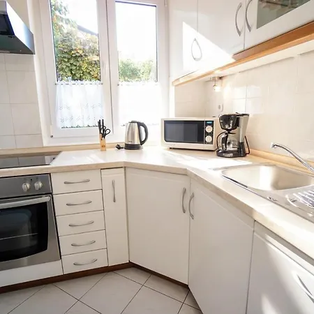 Apartment Vlado Zambratija (Istria)